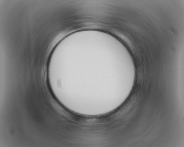 X0000113351467200910131229