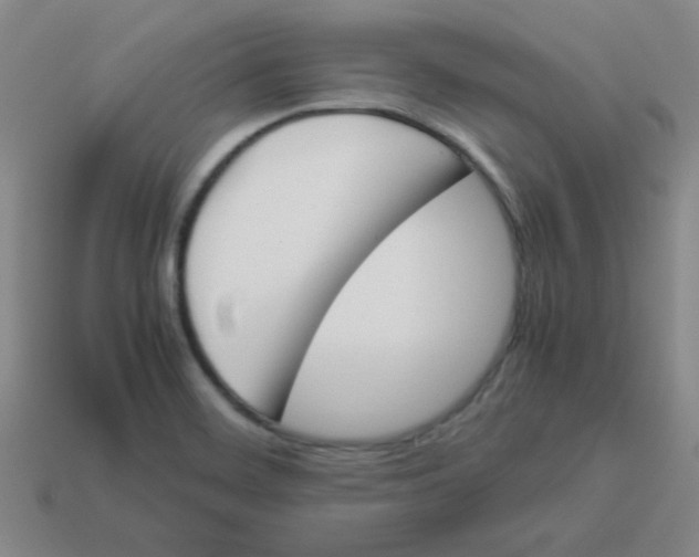 X0000113351468200910131229