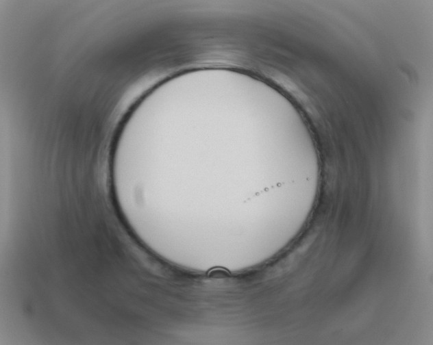 X0000113351469200910131229