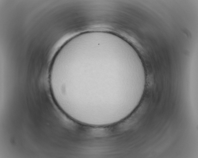 X0000113351470200910131229