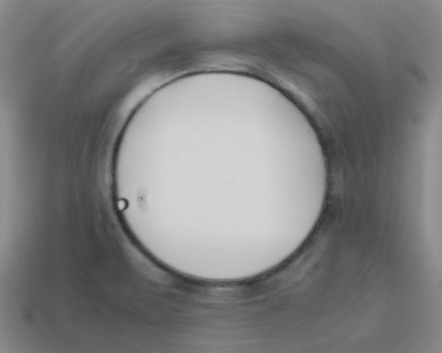 X0000113351471200910131229