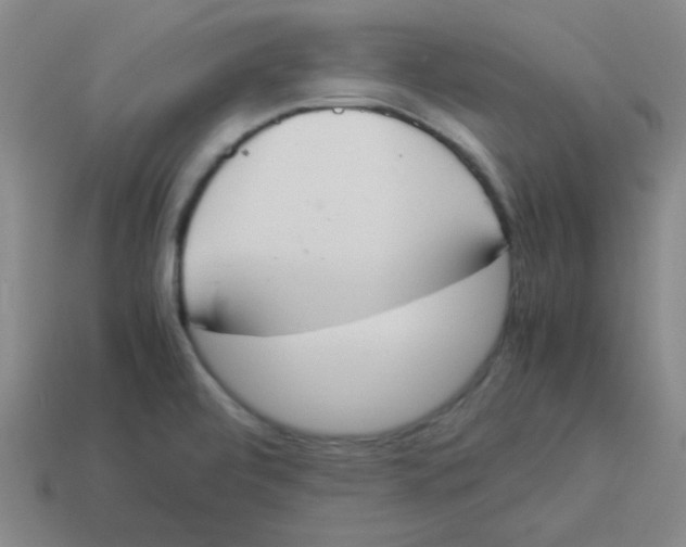 X0000113351472200910131229