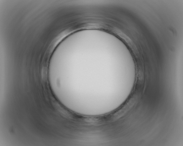 X0000113351473200910131229