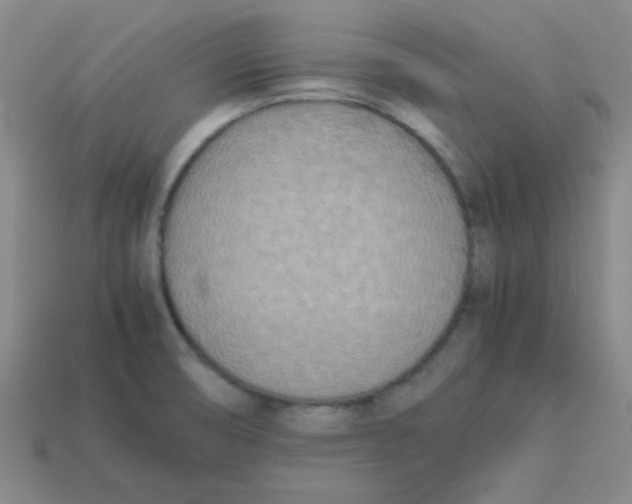 X0000113351474200910131229