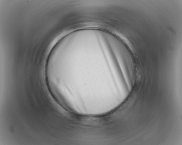 X0000113351475200910131229