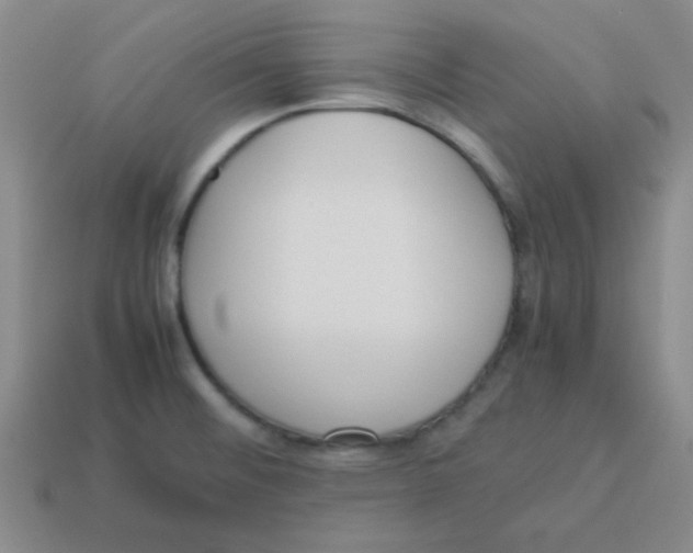 X0000113351476200910131229