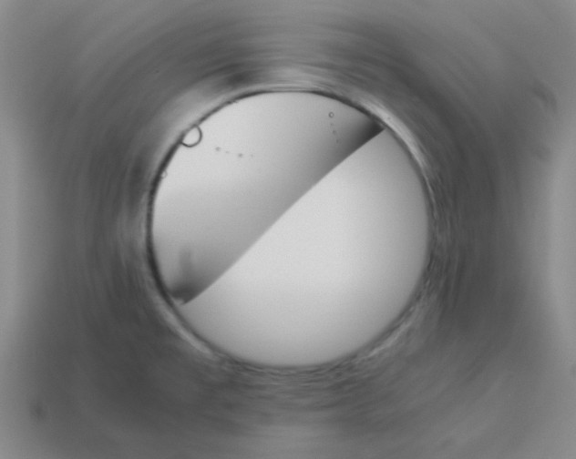 X0000113351477200910131229