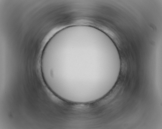 X0000113351478200910131229