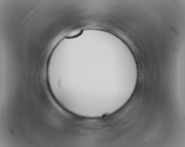 X0000113351479200910131229