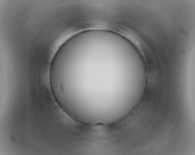 X0000113351480200910131229