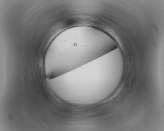 X0000113351481200910131229