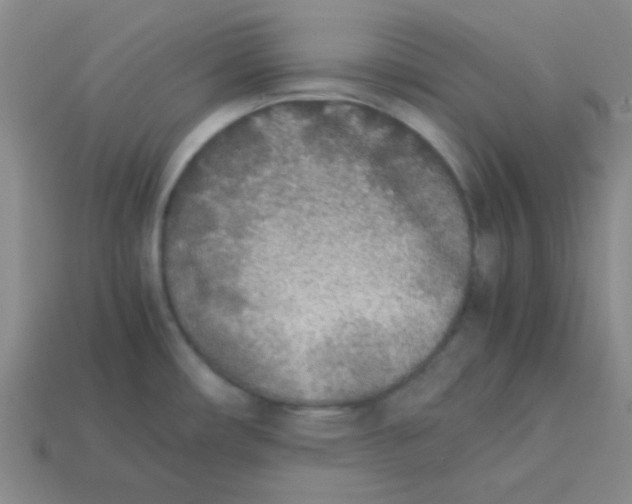 X0000113351482200910131229