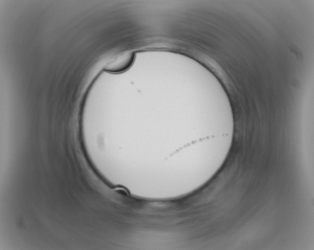 X0000113351483200910131229