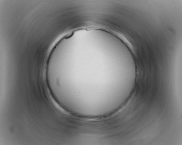 X0000113351484200910131229