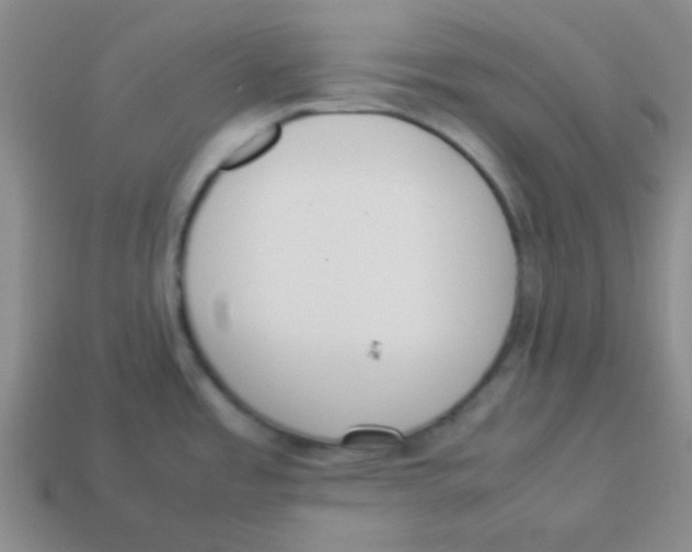 X0000113351485200910131229