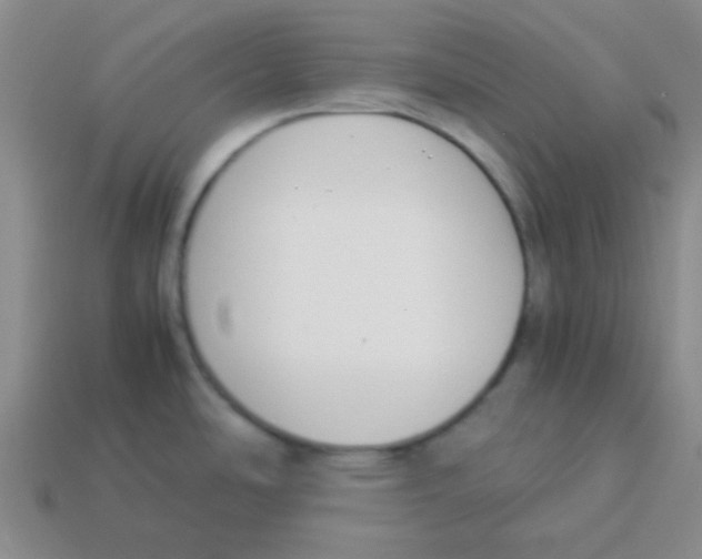 X0000113351486200910131229