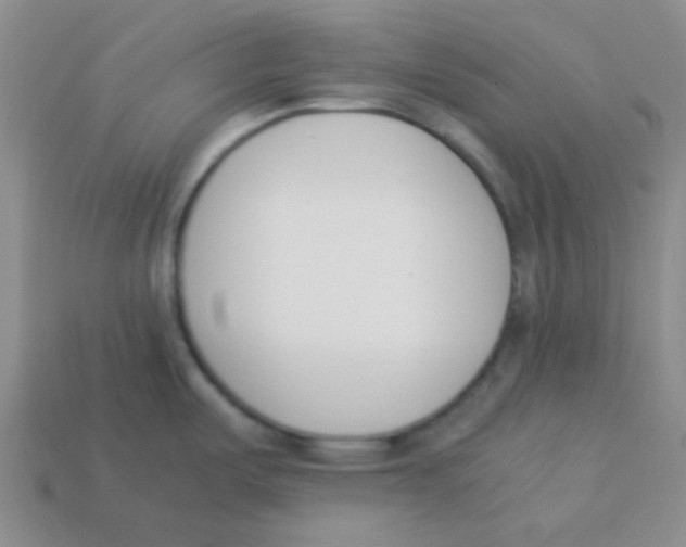 X0000113351487200910131229