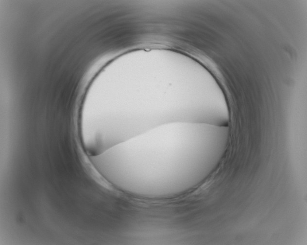 X0000113351488200910131229