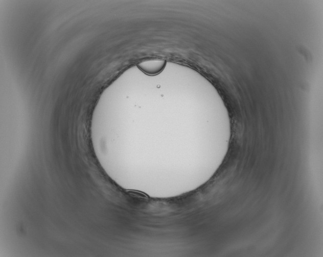 X0000113351489200910131228