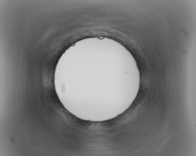 X0000113351490200910131228