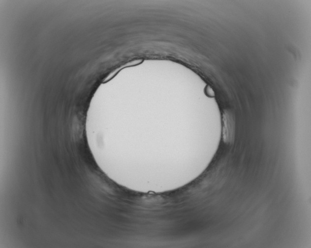 X0000113351491200910131228