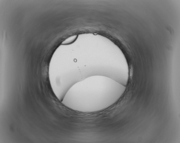 X0000113351492200910131228