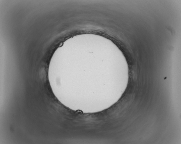 X0000113351493200910131228