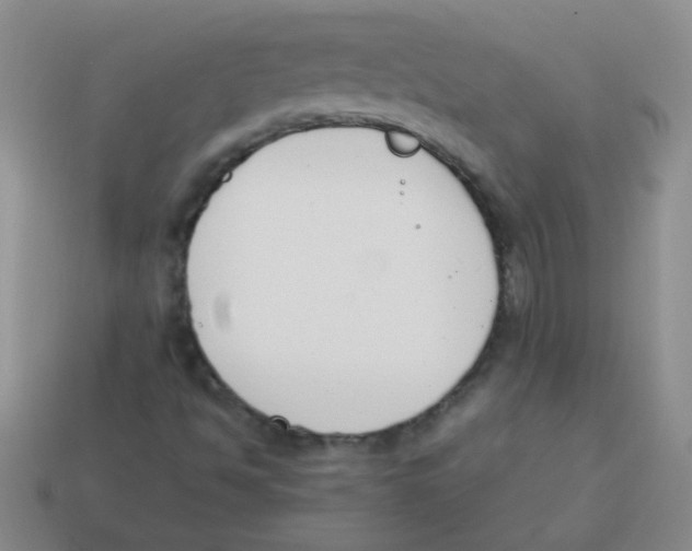 X0000113351494200910131228