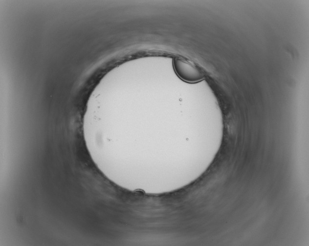 X0000113351495200910131228