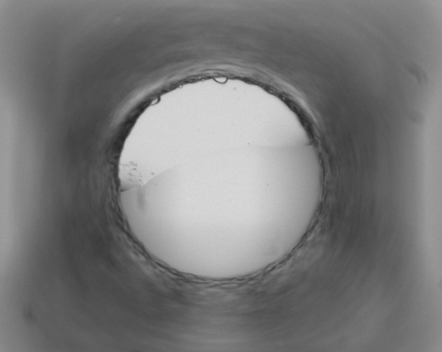 X0000113351496200910131228