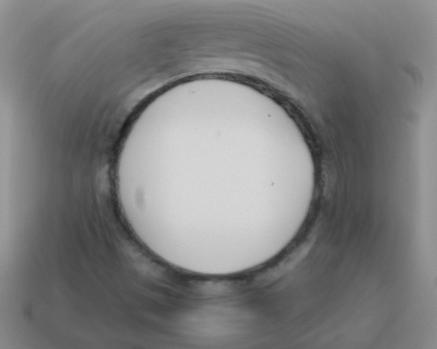 X0000113351497200910131228