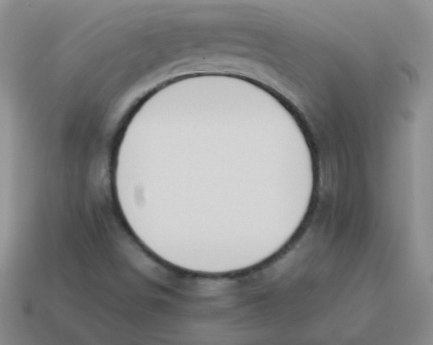 X0000113351498200910131228