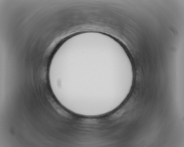 X0000113351499200910131228