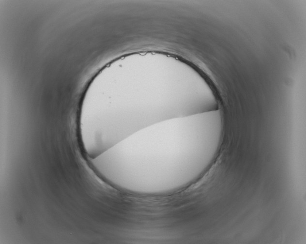 X0000113351500200910131228