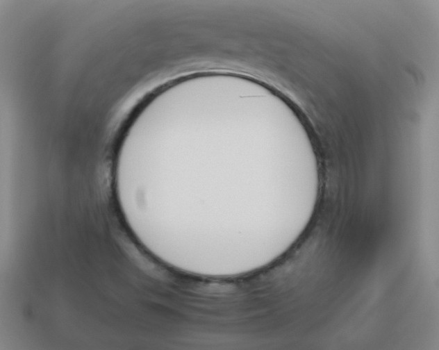 X0000113351503200910131228