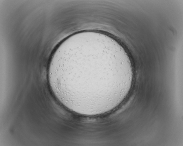 X0000113351505200910131228