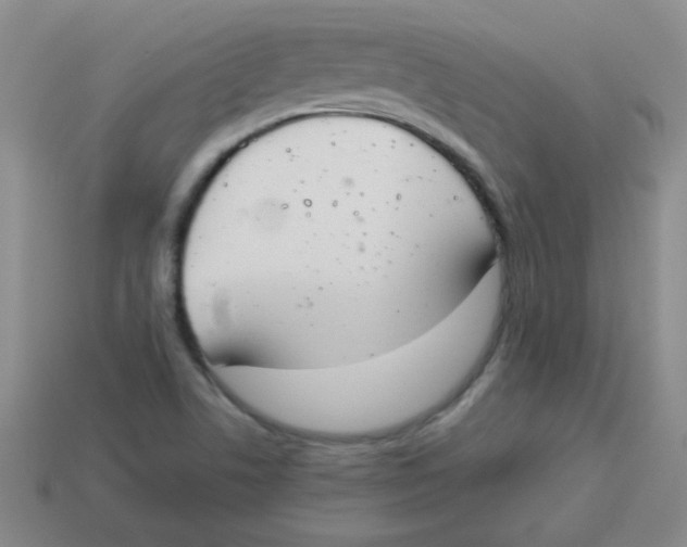 X0000113351506200910131228