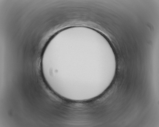 X0000113351507200910131228