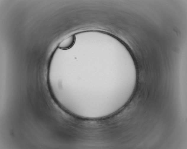 X0000113351508200910131228