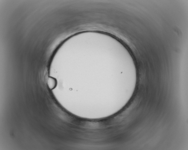 X0000113351509200910131228