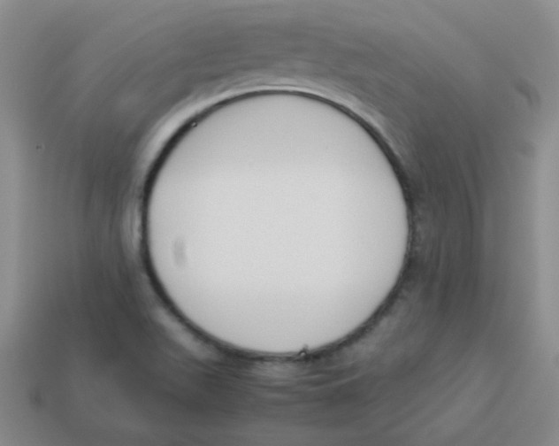 X0000113351511200910131229