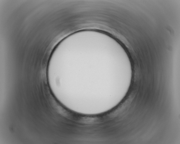 X0000113351513200910131229