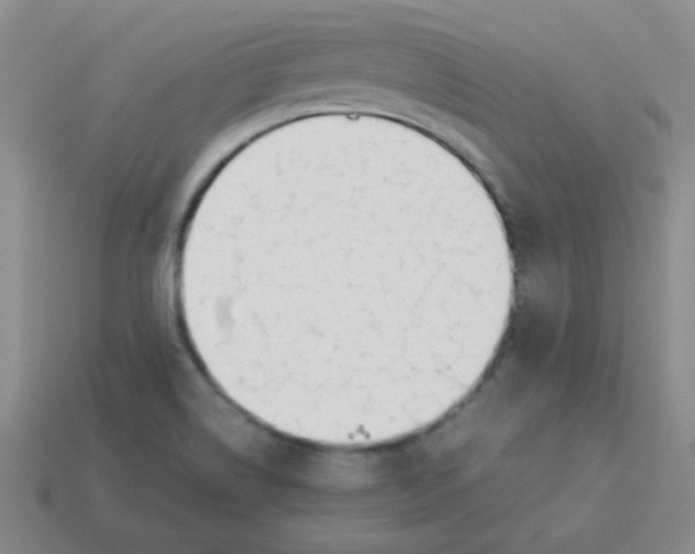 X0000113351514200910131229