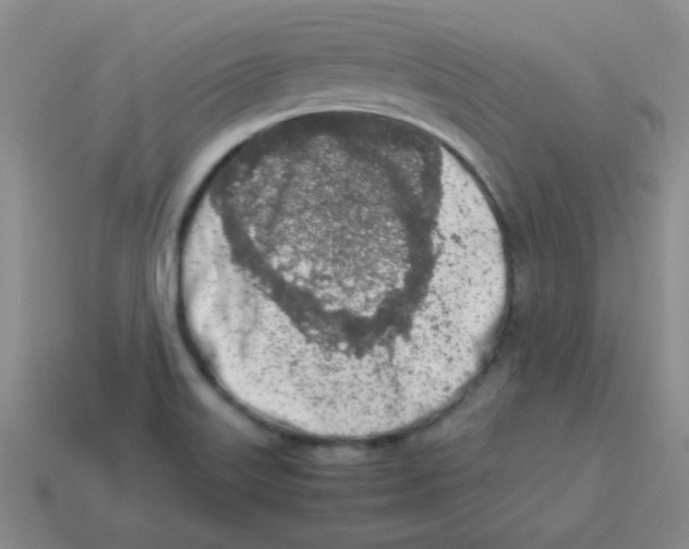 X0000113351515200910131229