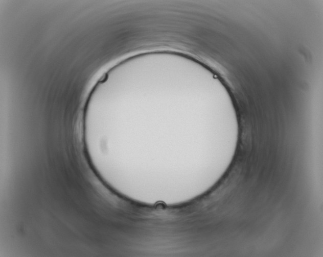 X0000113351516200910131229