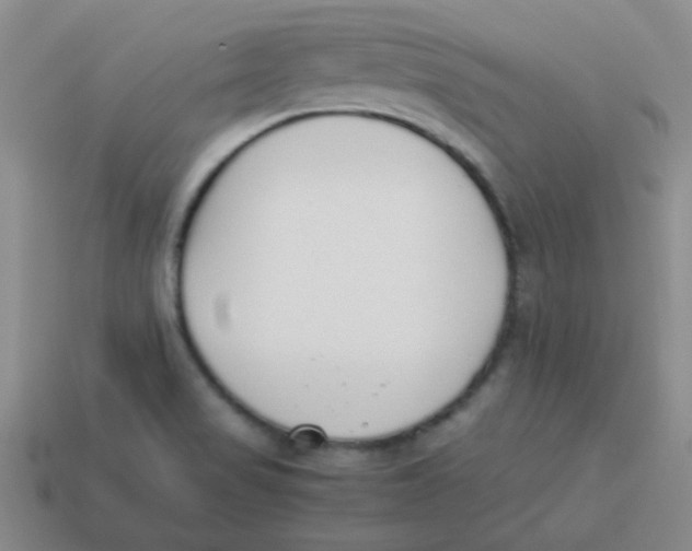 X0000113351517200910131229