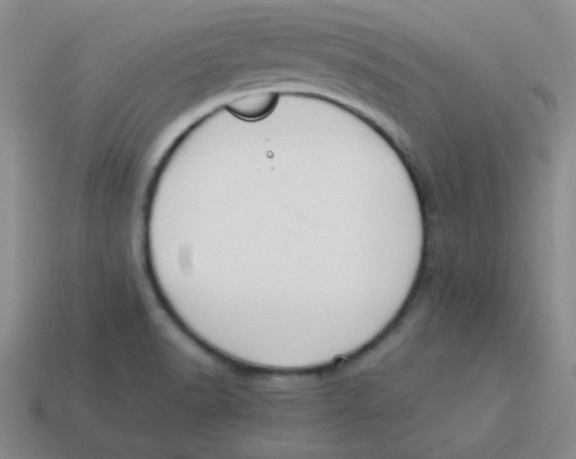 X0000113351518200910131229