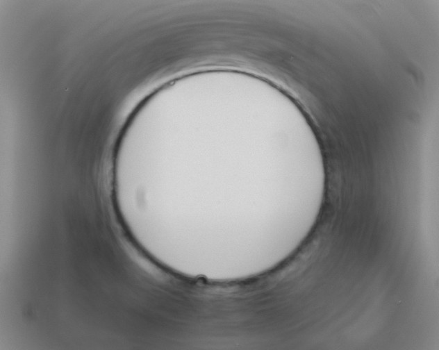 X0000113351519200910131229