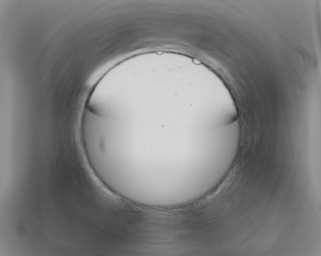 X0000113351520200910131229