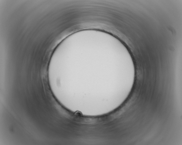 X0000113351521200910131229